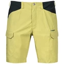 Spodenki męskie Bergans  Utne Shorts Green