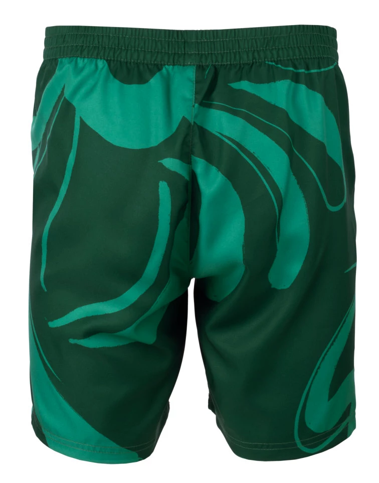 Spodenki męskie Fila  Shorts Leo Aventurine/Print