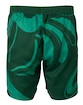 Spodenki męskie Fila  Shorts Leo Aventurine/Print