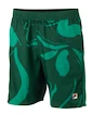 Spodenki męskie Fila  Shorts Leo Aventurine/Print