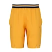 Spodenki męskie Head  Performance Shorts Men BN