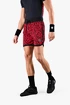 Spodenki męskie Hydrogen  Panther Tech Shorts Red