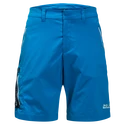Spodenki męskie Jack Wolfskin  Overland Shorts Blue Pacific
