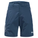 Spodenki męskie Jack Wolfskin  Overland Shorts Thunder Blue