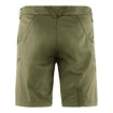 Spodenki męskie Klättermusen  Gefjon Shorts Dusty Green