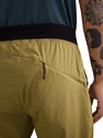 Spodenki męskie Klättermusen  Nal Shorts Meadow Green