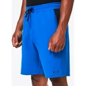 Spodenki męskie Oakley  VIGOR ELLIPSE SHORT