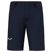 Spodenki męskie Salewa  Agner DST M Shorts  L