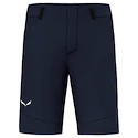 Spodenki męskie Salewa  Agner DST M Shorts  L