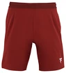 Spodenki męskie Tecnifibre  Club Short Cardinal