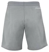 Spodenki męskie Tecnifibre  Club Short Silver