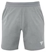 Spodenki męskie Tecnifibre  Club Short Silver