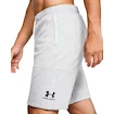 Spodenki męskie Under Armour