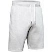 Spodenki męskie Under Armour