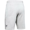 Spodenki męskie Under Armour