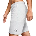 Spodenki męskie Under Armour
