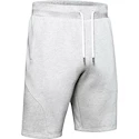 Spodenki męskie Under Armour