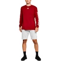 Spodenki męskie Under Armour