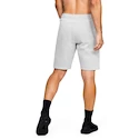 Spodenki męskie Under Armour