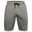 Spodenki męskie Under Armour