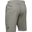 Spodenki męskie Under Armour