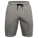 Spodenki męskie Under Armour