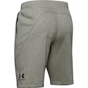 Spodenki męskie Under Armour