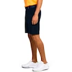 Spodenki męskie Under Armour