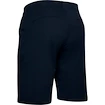 Spodenki męskie Under Armour