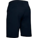 Spodenki męskie Under Armour