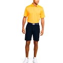 Spodenki męskie Under Armour
