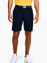 Spodenki męskie Under Armour