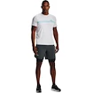 Spodenki męskie Under Armour