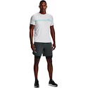 Spodenki męskie Under Armour