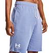 Spodenki męskie Under Armour