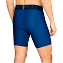 Spodenki męskie Under Armour HeatGear