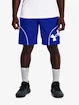 Spodenki męskie Under Armour  PERIMETER 11'' SHORT-BLU