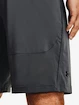 Spodenki męskie Under Armour  Raid 2.0 Shorts-GRY