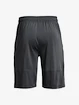 Spodenki męskie Under Armour  Raid 2.0 Shorts-GRY