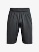 Spodenki męskie Under Armour  Raid 2.0 Shorts-GRY