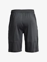 Spodenki męskie Under Armour  Raid 2.0 Shorts-GRY