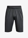 Spodenki męskie Under Armour  Raid 2.0 Shorts-GRY