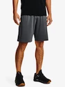 Spodenki męskie Under Armour  Raid 2.0 Shorts-GRY