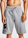 Spodenki męskie Under Armour  Rival FLC Big Logo Shorts gray M