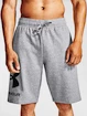Spodenki męskie Under Armour  Rival FLC Big Logo Shorts gray S