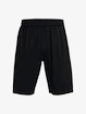Spodenki męskie Under Armour  Tech WM Graphic Short-BLK