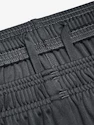 Spodenki męskie Under Armour  Tech WM Graphic Short-GRY