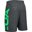 Spodenki męskie Under Armour  Vanish Woven Emboss