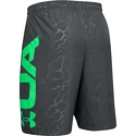 Spodenki męskie Under Armour  Vanish Woven Emboss