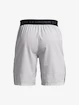 Spodenki męskie Under Armour  Vanish Woven Snap Sts-GRY